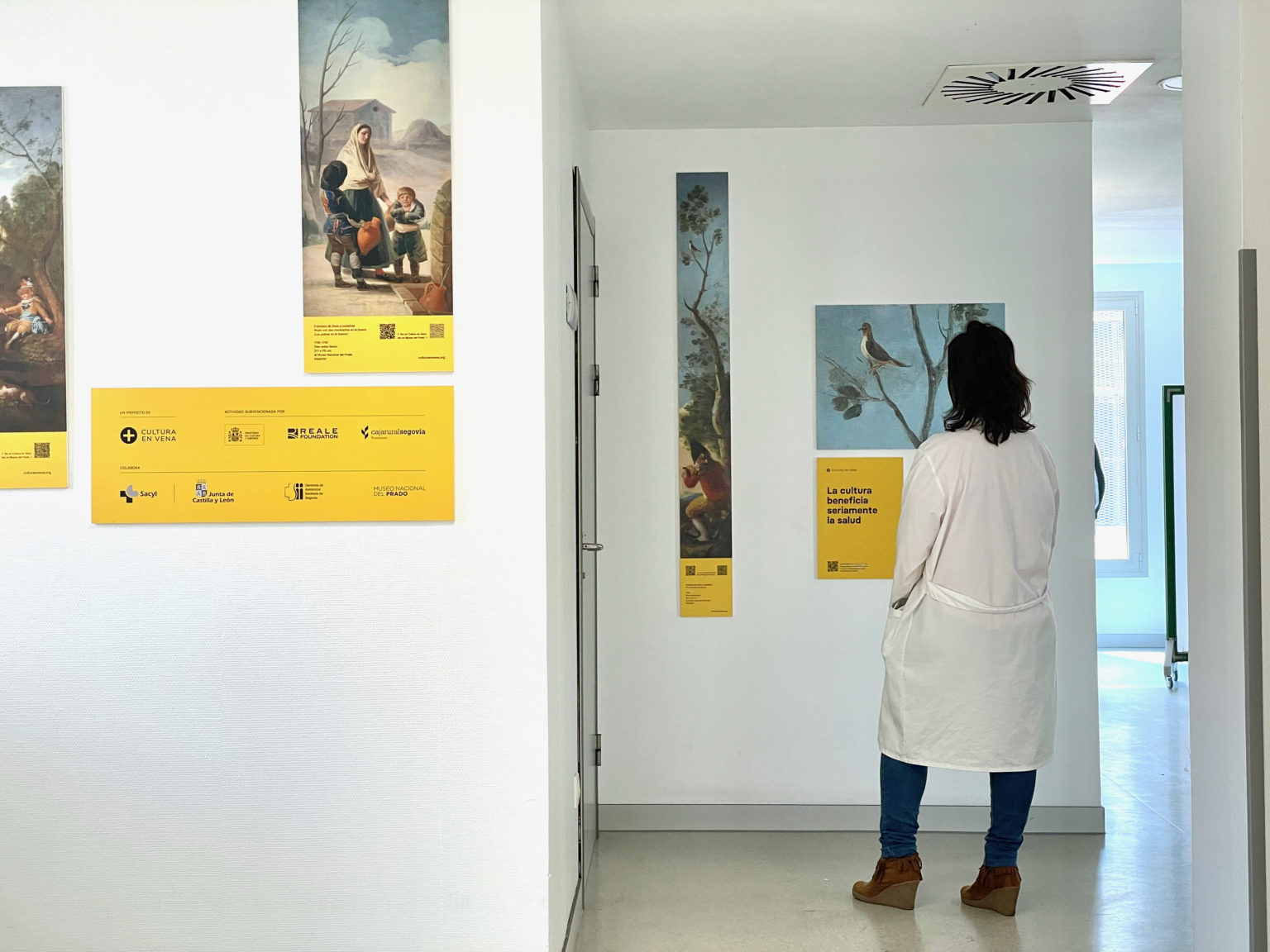 Hospital General de Segovia Cultura en Vena