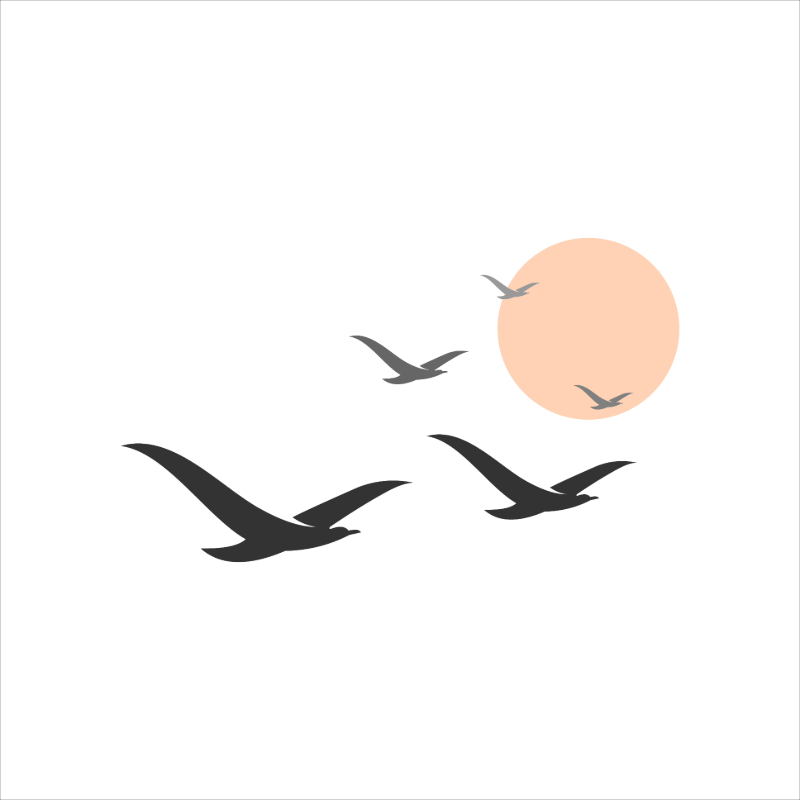 Que el pájaro pueda pasar