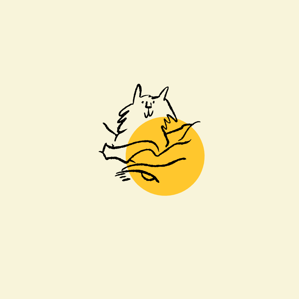 El gato perdido