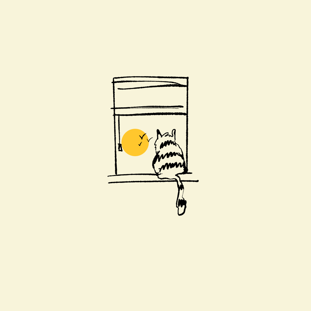 El gato ansioso